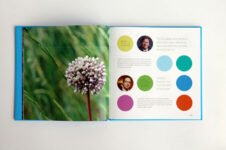 Akzo Nobel - Corporate Social Responsibility Report